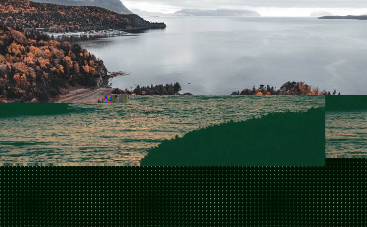 廢舊金屬回收設(shè)備的現(xiàn)狀與趨勢(shì)及發(fā)展趨勢(shì)下的設(shè)備種類探討