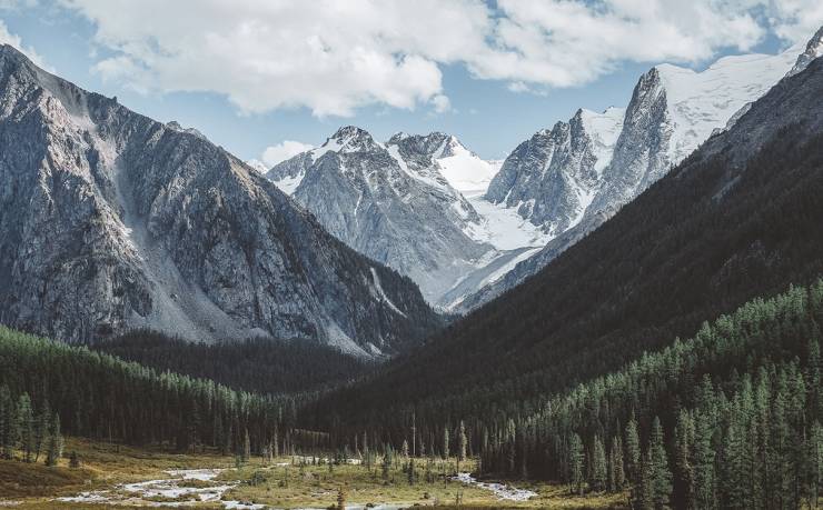 永惠報廢車回收價格深度解析，了解報廢車輛回收價格的真相